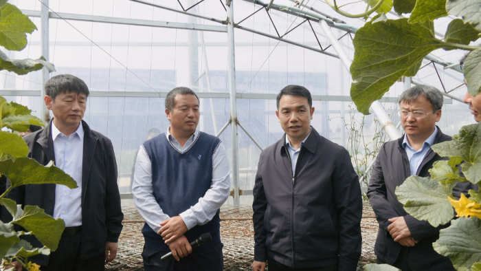 省农业农村厅、省农科院莅延调研设施农业发展情况