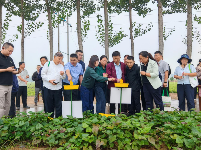 2026年全国花生水肥一体化全程绿色提质增效技术现场观摩研讨会在延津县召开